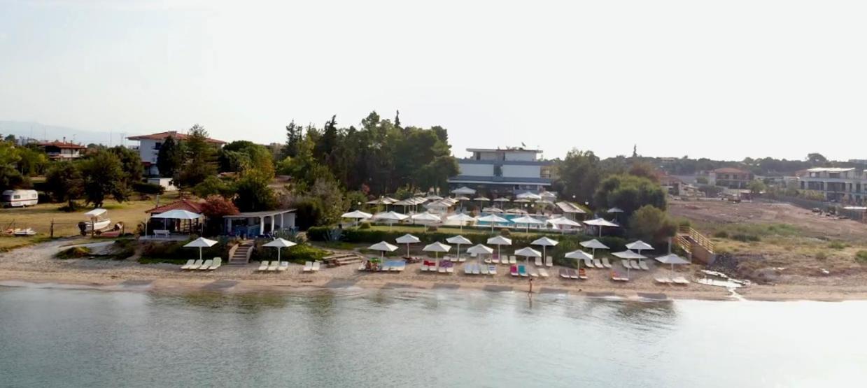 Kassandra Mare Hotel نيا بوتيدايا المظهر الخارجي الصورة