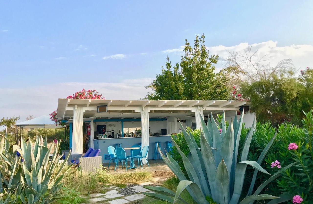 Kassandra Mare Hotel نيا بوتيدايا المظهر الخارجي الصورة