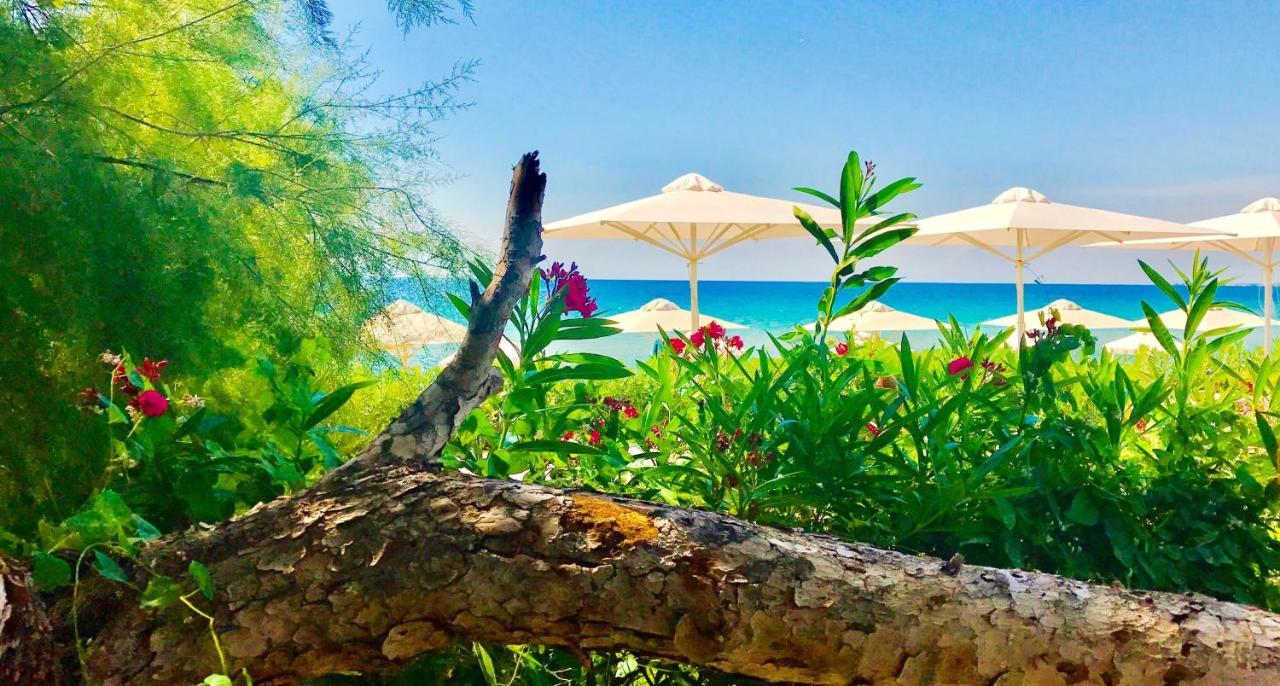 Kassandra Mare Hotel نيا بوتيدايا المظهر الخارجي الصورة