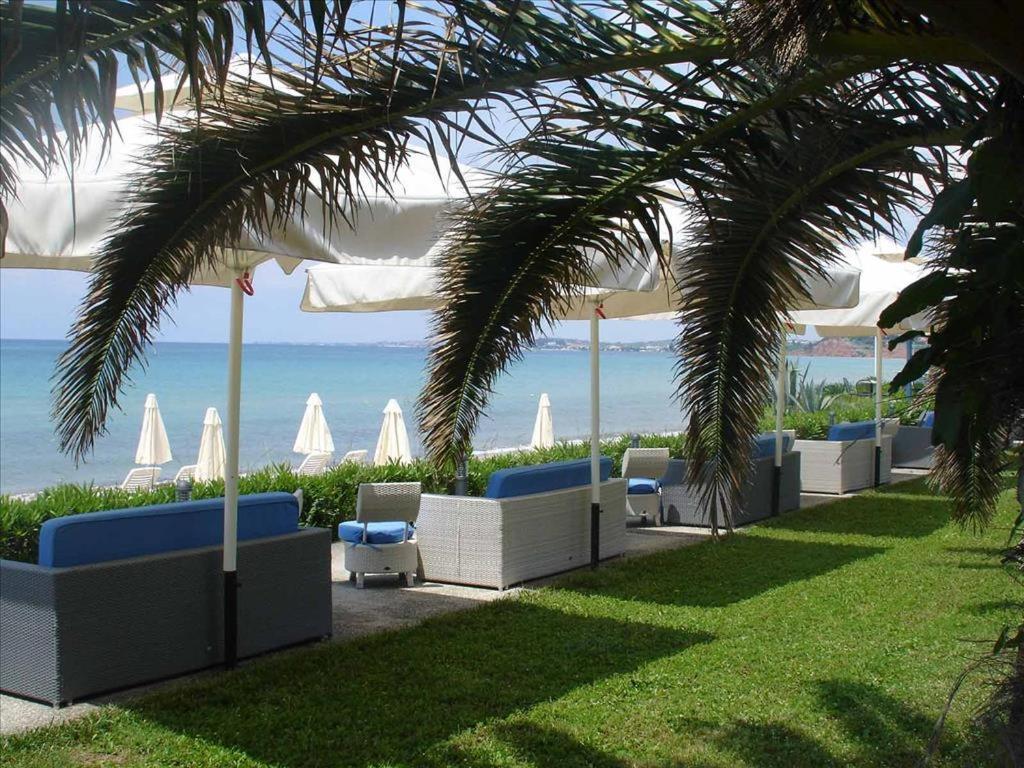 Kassandra Mare Hotel نيا بوتيدايا المظهر الخارجي الصورة