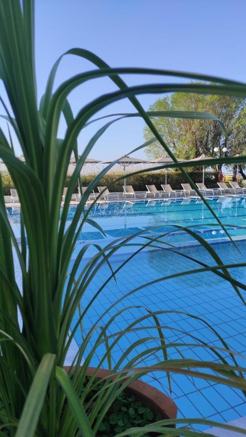 Kassandra Mare Hotel نيا بوتيدايا المظهر الخارجي الصورة