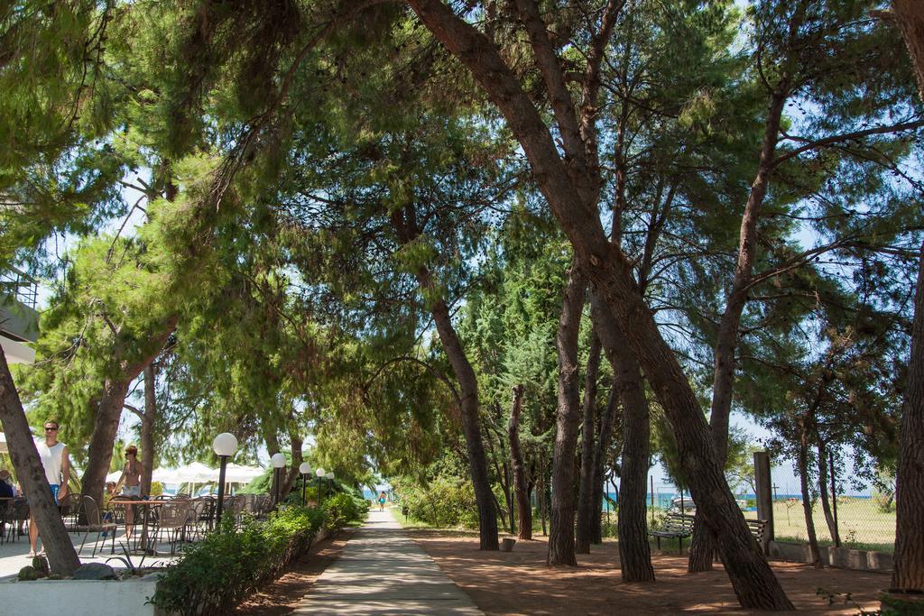 Kassandra Mare Hotel نيا بوتيدايا المظهر الخارجي الصورة