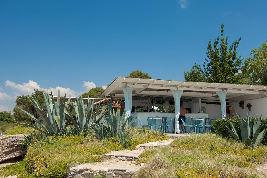 Kassandra Mare Hotel نيا بوتيدايا المظهر الخارجي الصورة