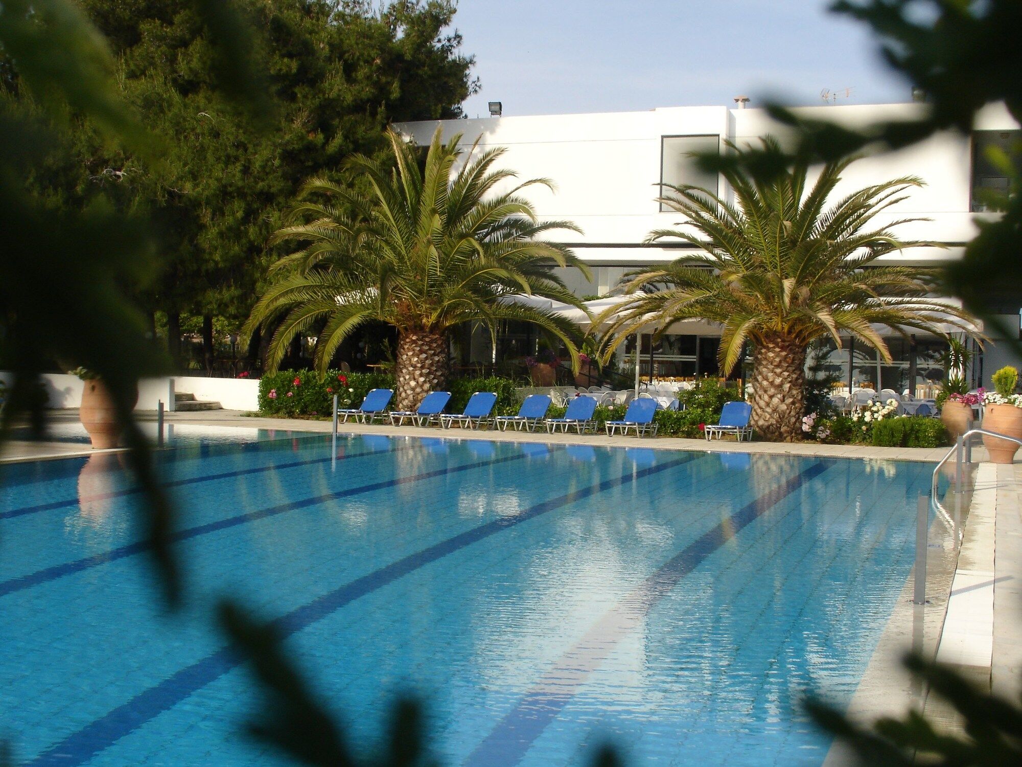Kassandra Mare Hotel نيا بوتيدايا المظهر الخارجي الصورة